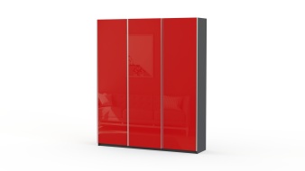 Шкаф-купе Редл BMS