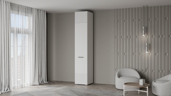 Шкаф распашной Декарт 7 BMS по индивидуальному заказу