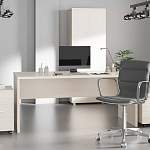 Кабинет руководителя Хельма 6 BMS - Фото 1