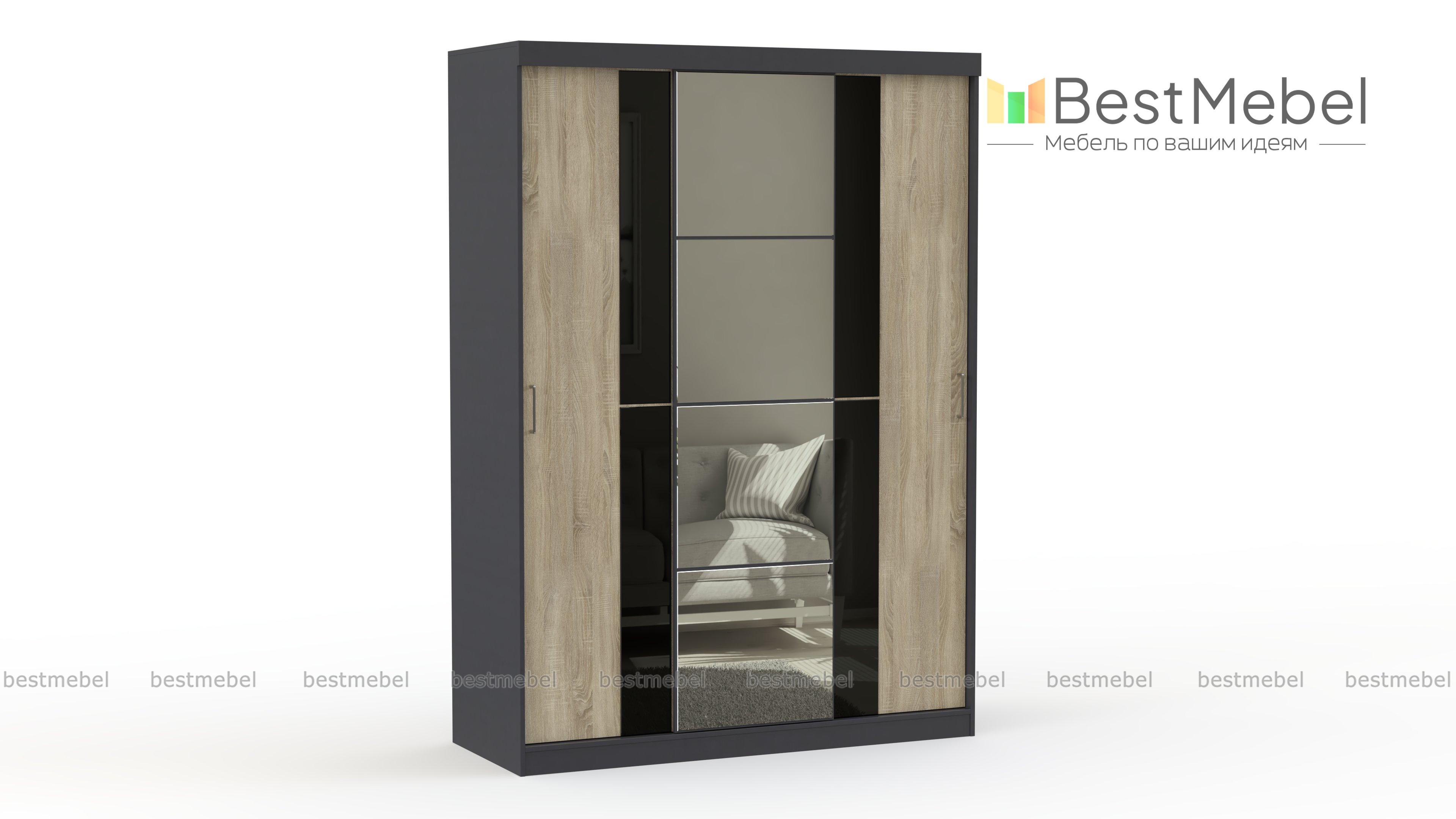Шкаф-купе Вега ШК-02 BMS - Фото