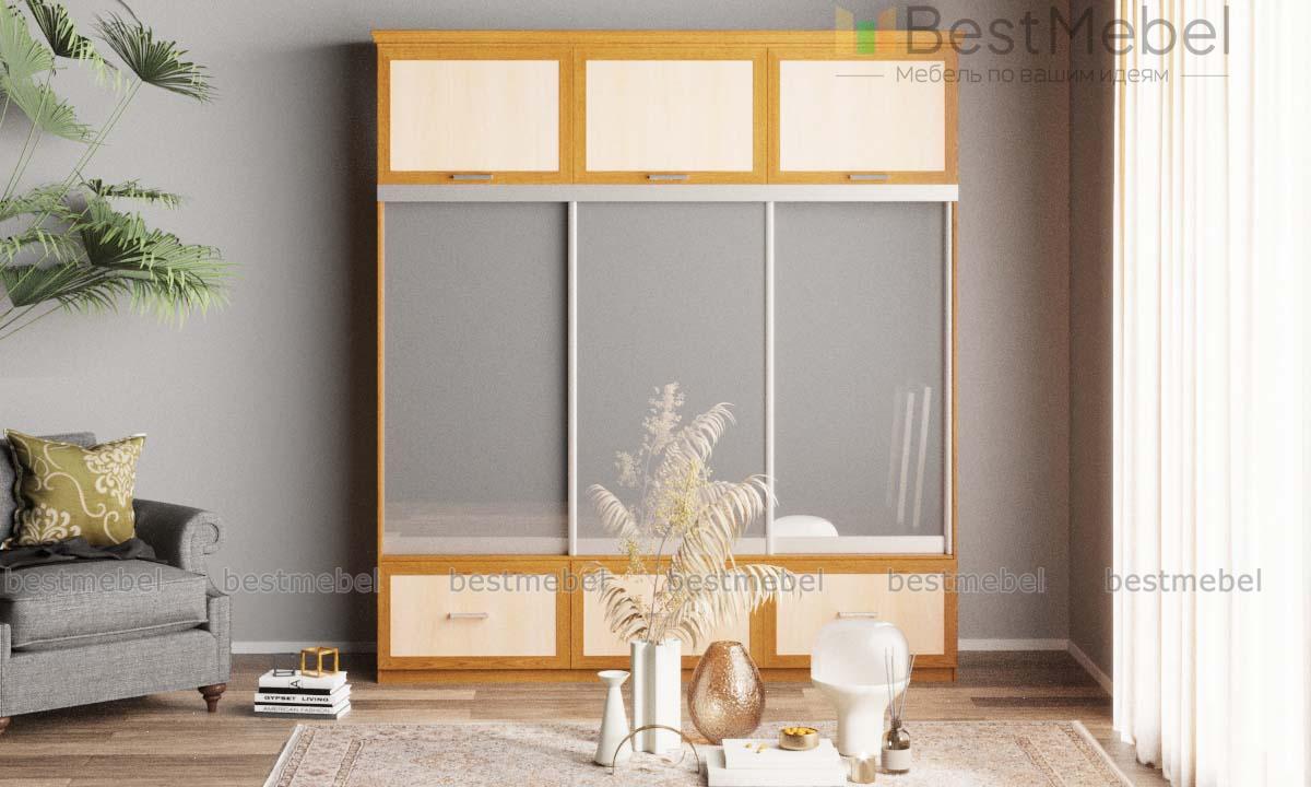 Шкаф-купе Нэмо 8 BMS - Фото