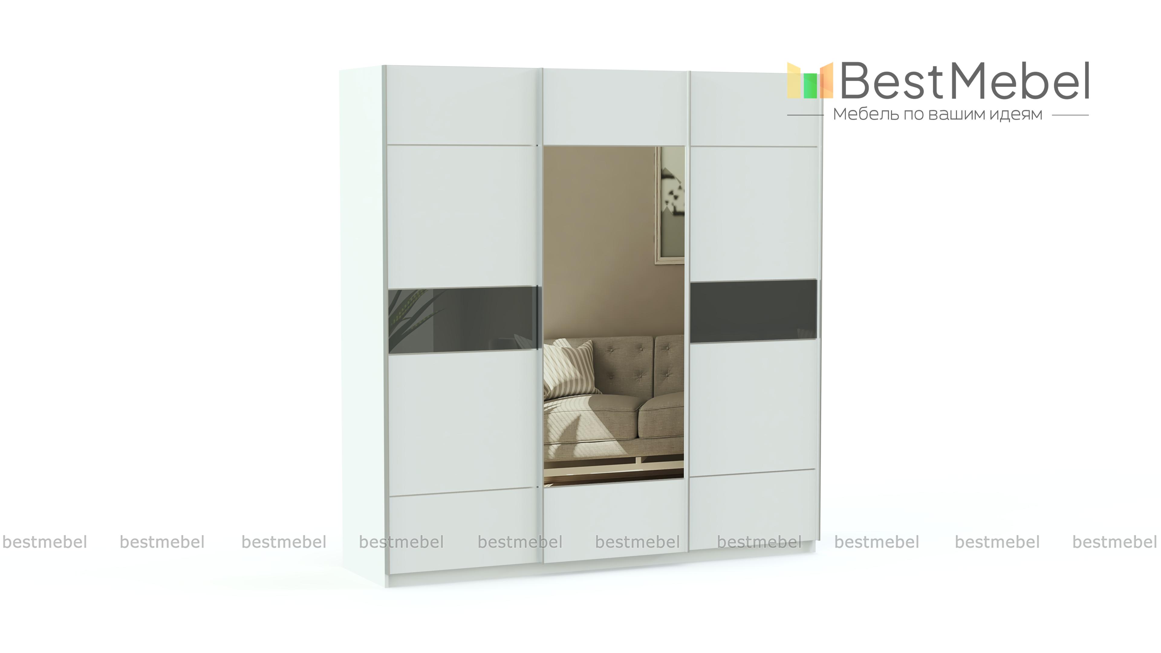 Шкаф-купе Риан 23 BMS - Фото
