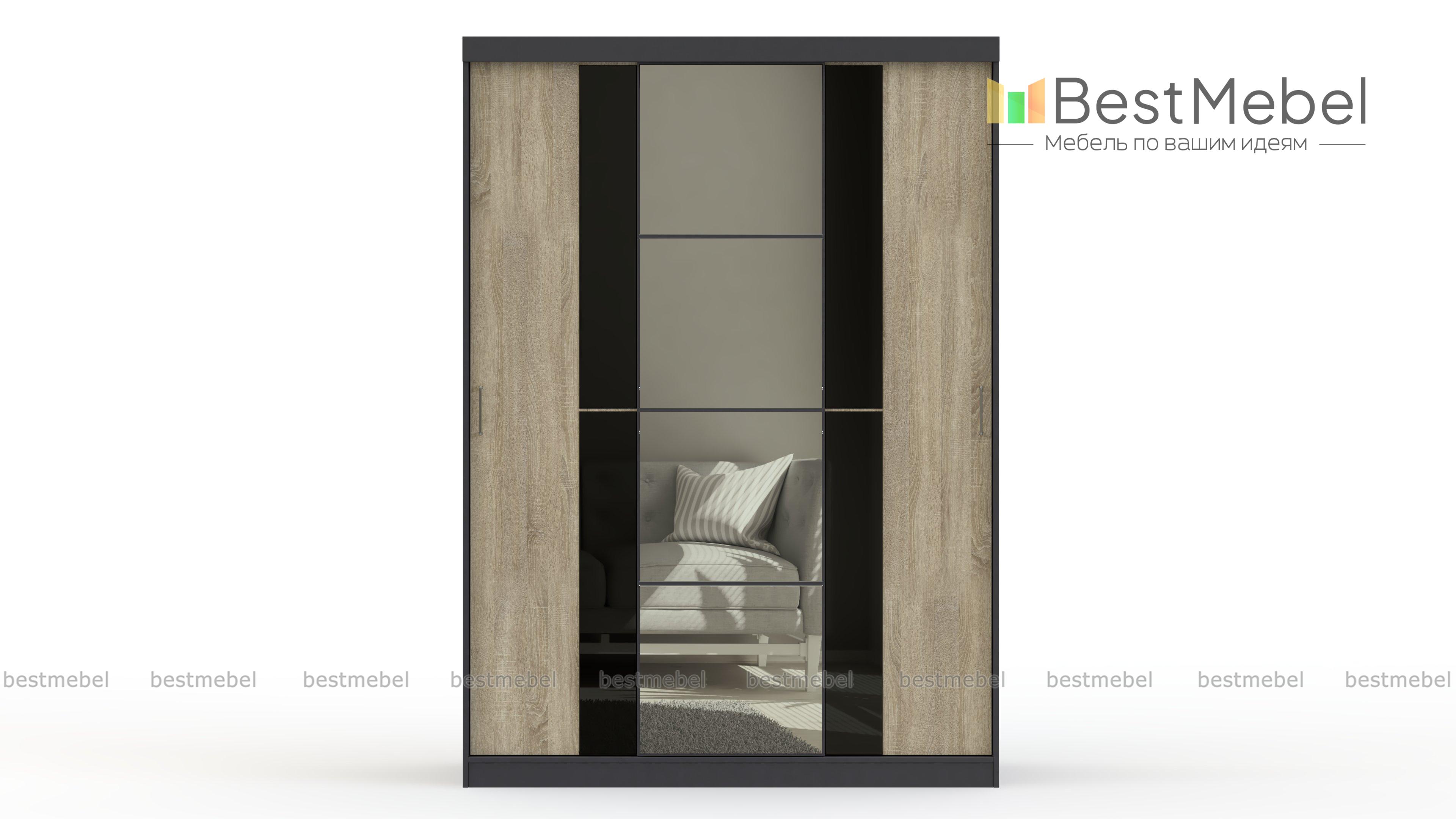 Шкаф-купе Вега ШК-02 BMS - Фото