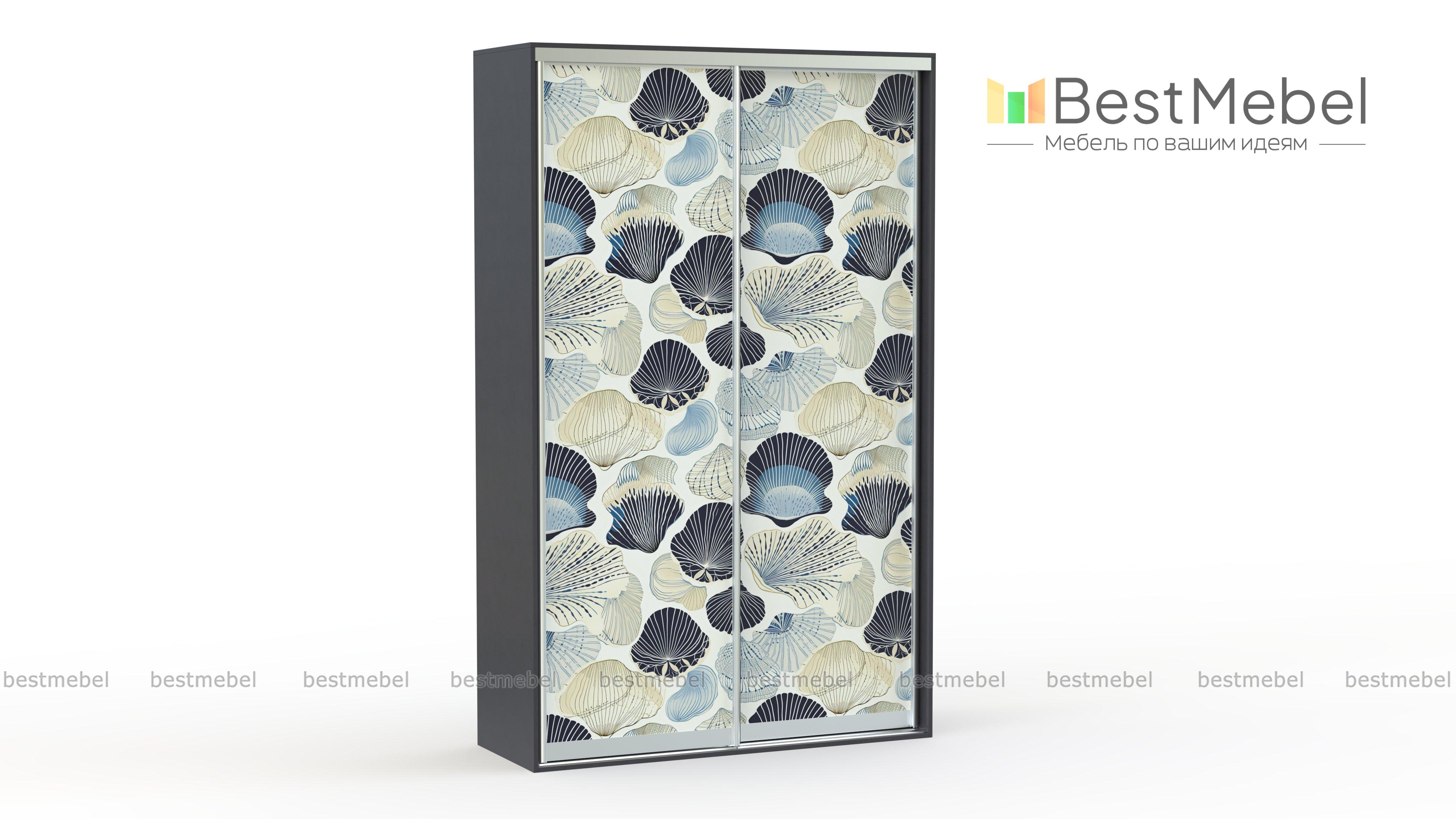 Шкаф-купе Сфера 16015 BMS - Фото