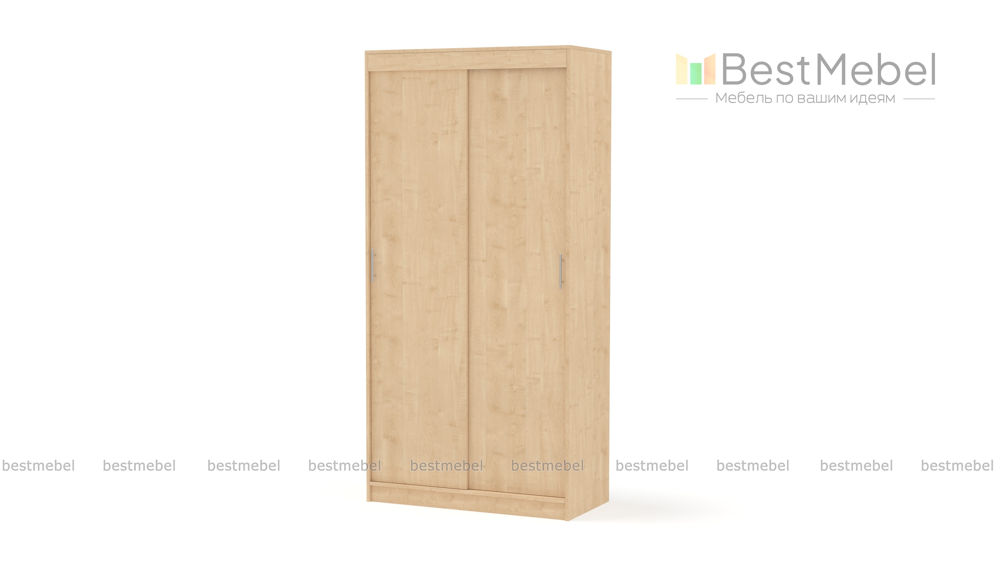 Шкаф-купе СРД-2х дверный BMS